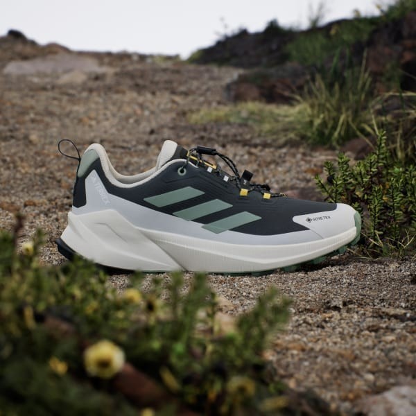 Adidas National Geograpih Terrex Trailmaker 2 Gore-tex Carbon Silver Green Orbit Grey JP7064
