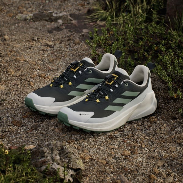 Adidas National Geograpih Terrex Trailmaker 2 Gore-tex Carbon Silver Green Orbit Grey JP7064