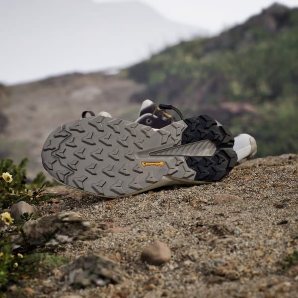 Adidas National Geograpih Terrex Trailmaker 2 Gore-tex Hiking Aurora Black Putty Beige Orbit Grey JP7065
