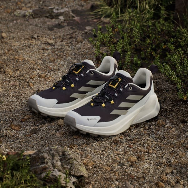 Adidas National Geograpih Terrex Trailmaker 2 Gore-tex Hiking Aurora Black Putty Beige Orbit Grey JP7065