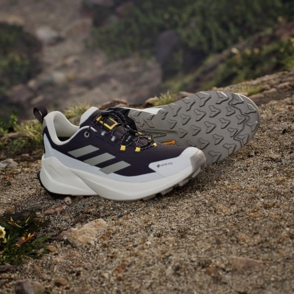 Adidas National Geograpih Terrex Trailmaker 2 Gore-tex Hiking Aurora Black Putty Beige Orbit Grey JP7065