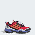 Adidas Terrex Skychaser Goretex Hiking Pure Ruby Semi Cobalt Blue Core Black IH1102