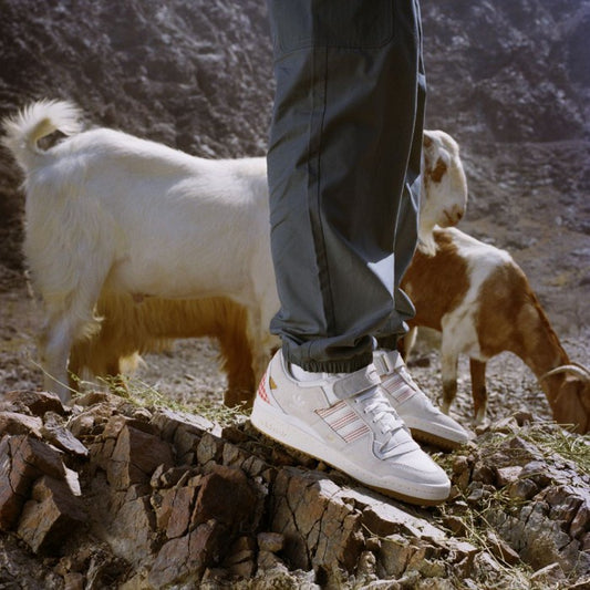 Adidas Forum 84 Low x ARWA Al Banawi Crystwal White ORIGINAL G58260